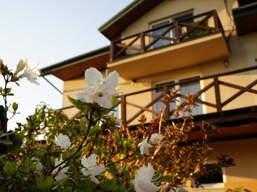 Anandaresort - Vegewakacje Владиславово Екстер'єр фото